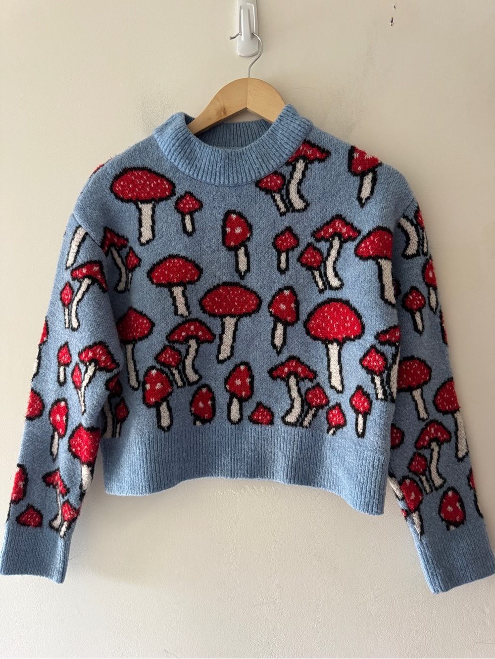 Zara Mushroom Print Cottagecore Knit Sweater Blogger’s Favorite